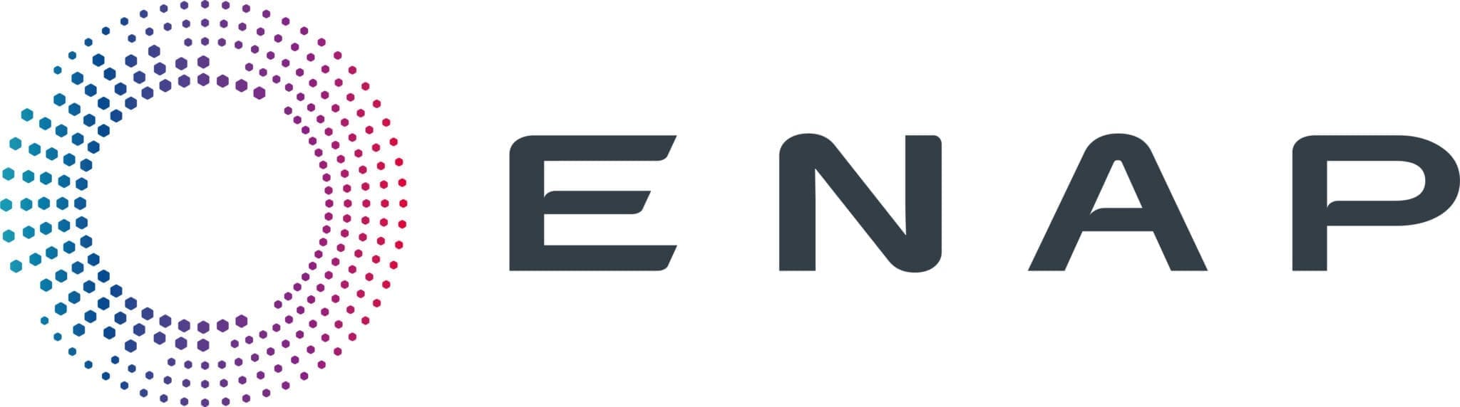 This is the ENAP logo. It is a circle made up of dots. The letters ENAP appear in dark grey to the right of the mark.