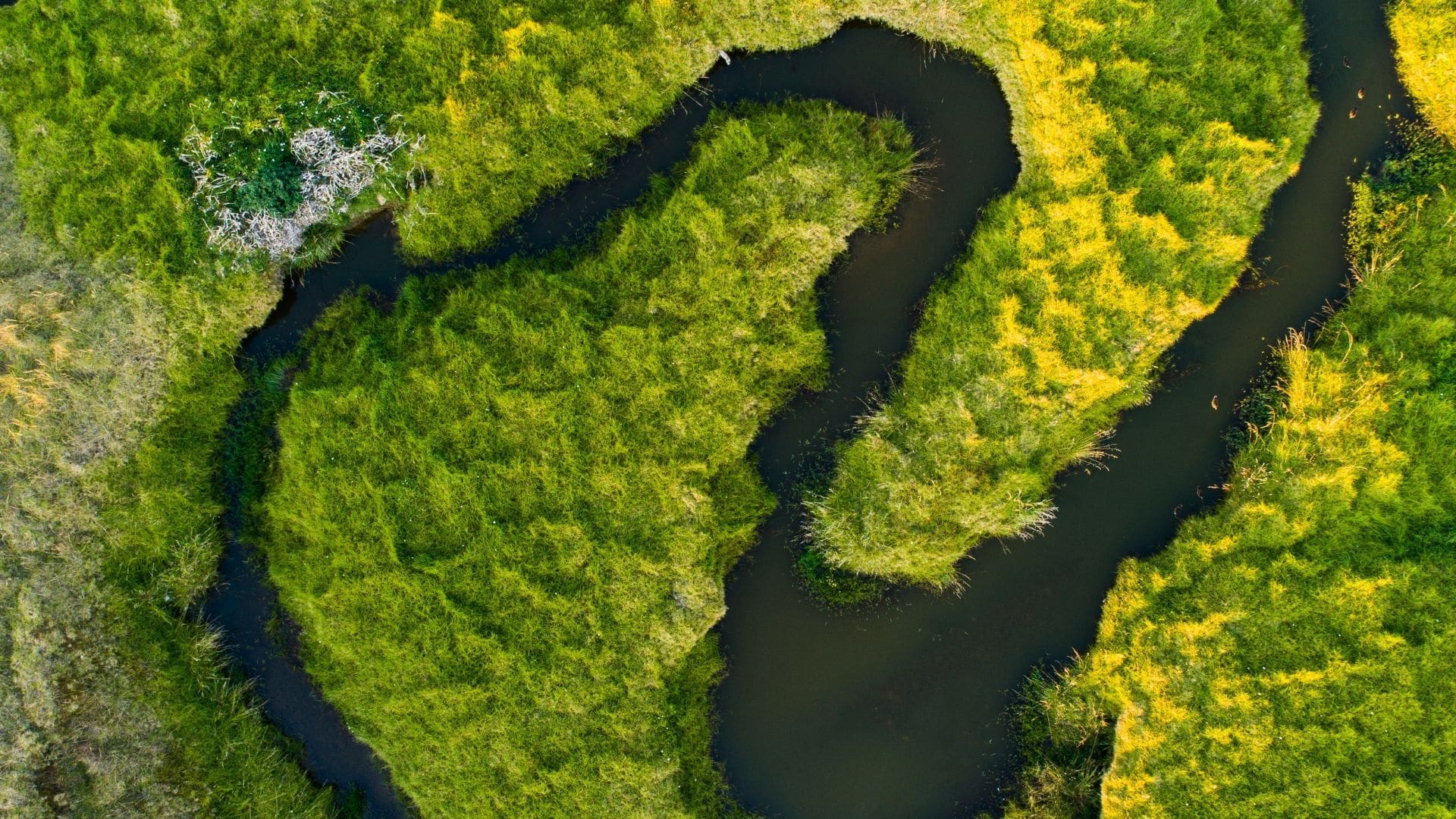 Supply chain decarbonisation