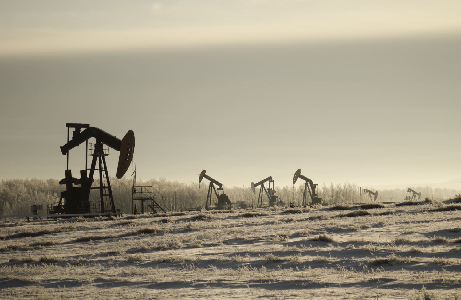 Garantizando el Cumplimiento de las Cadenas de Suministro del Sector Energético Público