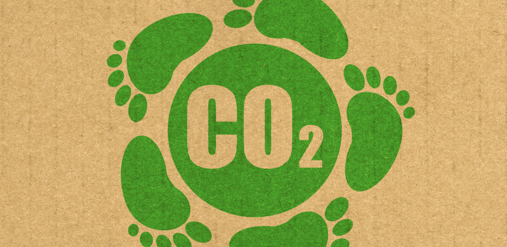 Carbon Reporting for SMEs: Measure Emissions, Meet Demands
