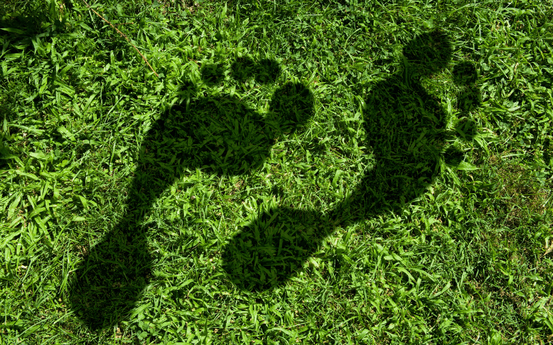 footprints on green grass