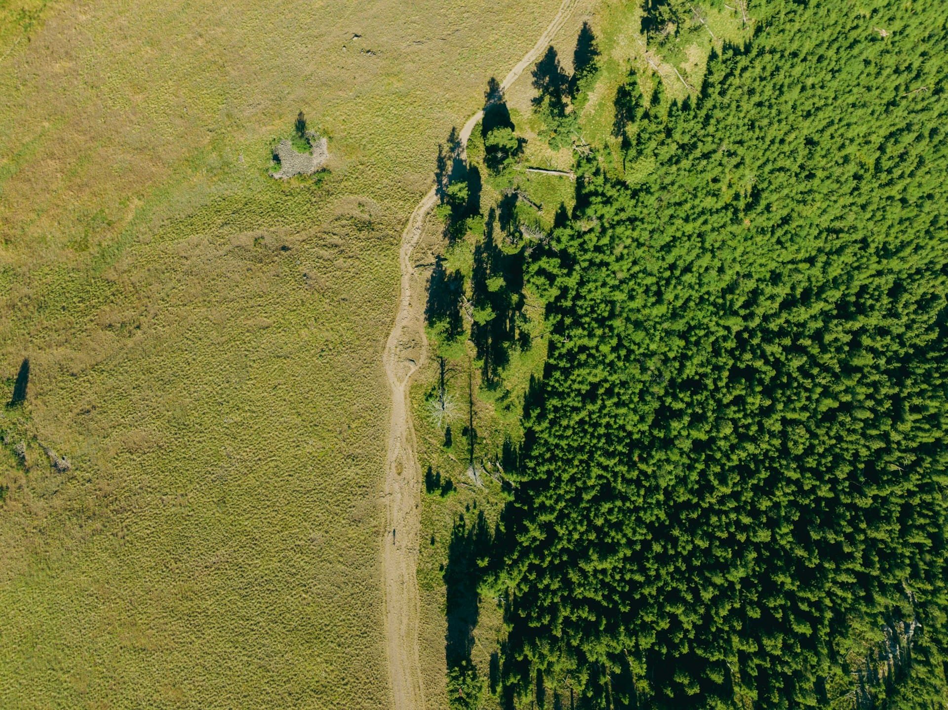 Norges klimaplan: Store mål, små skritt