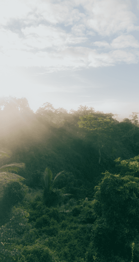 Sustainability of Achilles Solution