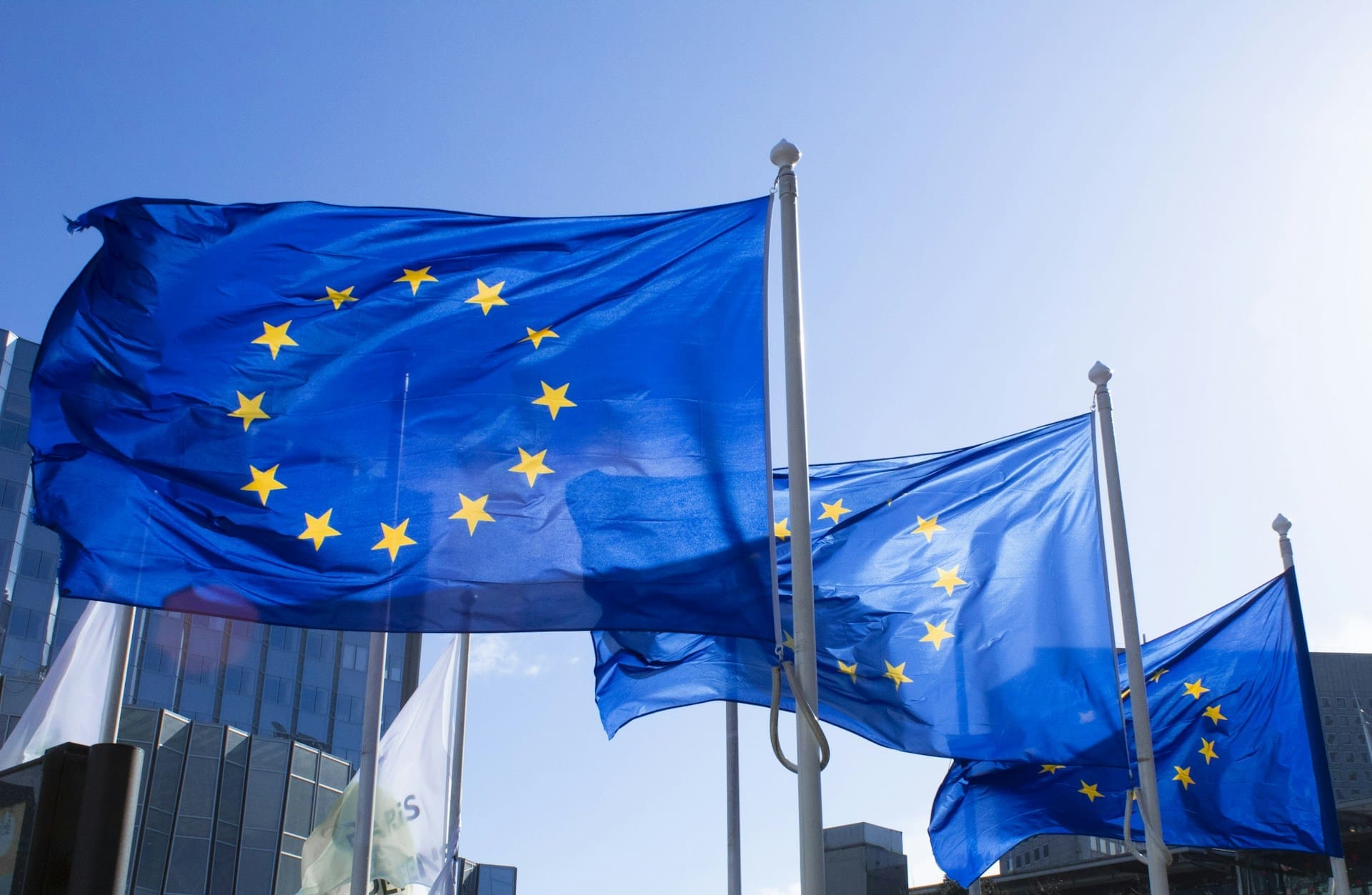A blue flag with yellow stars in the sky. It represents the European Union.
