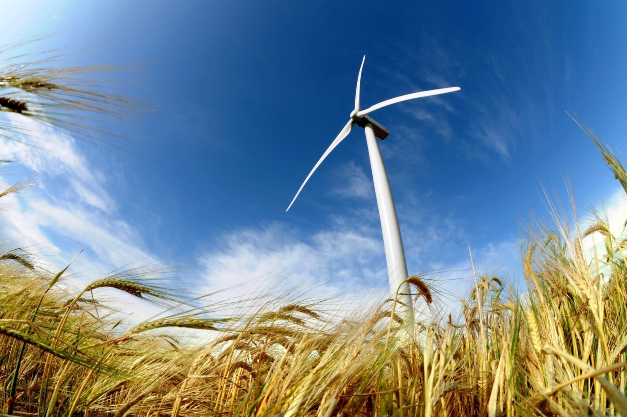 Förändringens vindar blåser i energibranschen