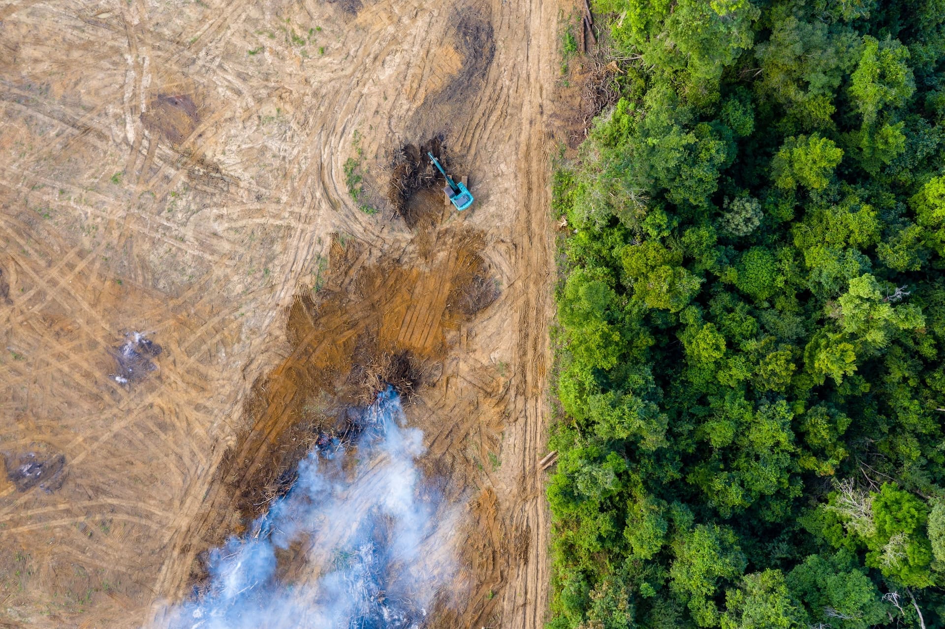 The Achilles Guide to EU Deforestation Regulations