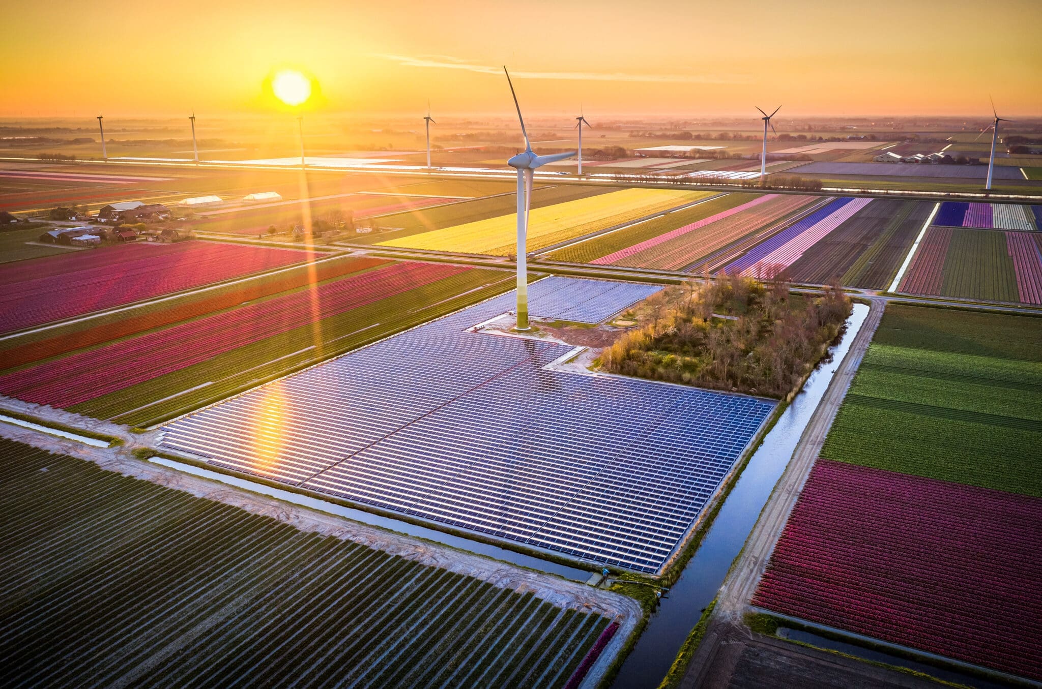 Como a colaboração está ajudando o setor solar em expansão a atender às obrigações com partes interessadas e de relatórios