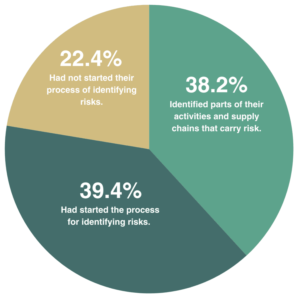 pie chart in green, teal and gold highlighting the % within the report